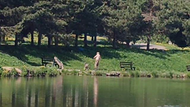 ещё один карп в подсаке