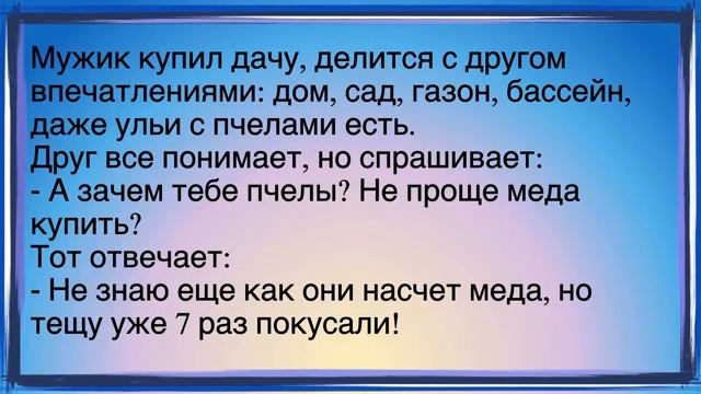 💁♂️Как_Жена_И_Муж_Решили_Вечером_Развлечься!_Сборник_Свежих_Смешных