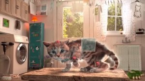 ухаживаю за котиком