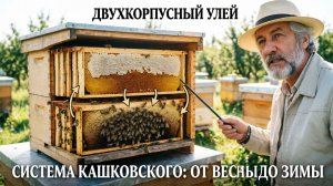 🔥 «Двухкорпусные ульи Дадана-Блатта: секреты работы от профессора Кашковского!»