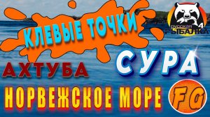 ТУТ КЛЮЕТ. Ахтуба. Норвежское море. Сура. Русская рыбалка 4. рр4. Russian Fishing 4