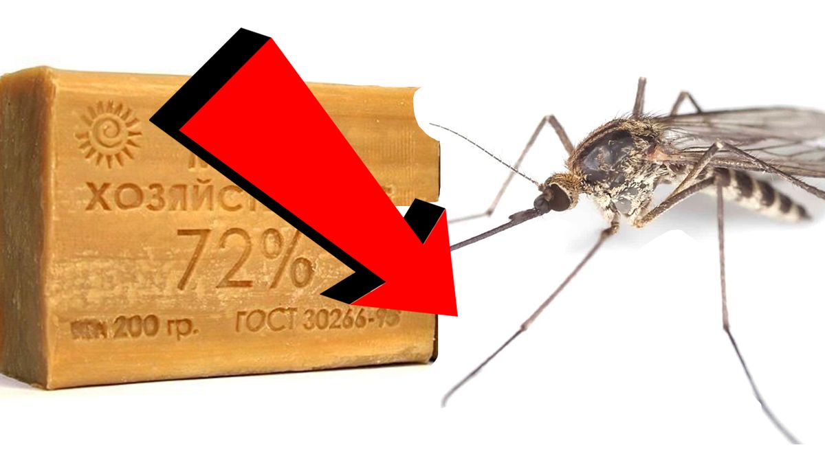 Как избавиться от комаров За 3 Секунды!
