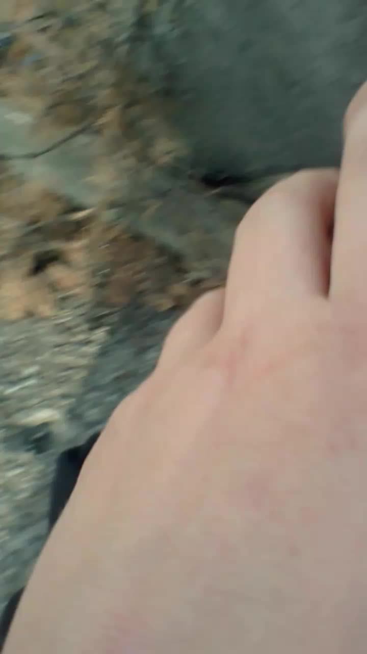 в лесу смотреть онлайн