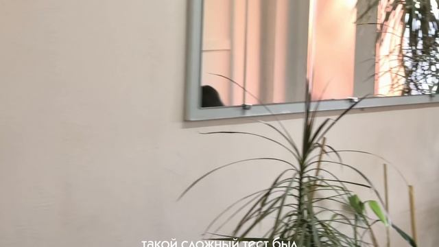 Варвара Крайнева Специальный приз партнера