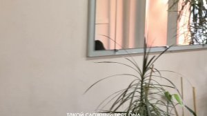 Варвара Крайнева Специальный приз партнера