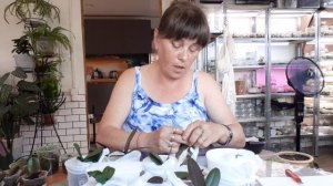 Моя Жизнь в Деревне,  Любимая Работа. Орхидеи.