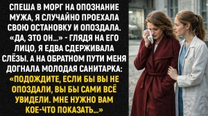 Спеша в морг на опознание мужа, я случайно проехала свою остановку и опоздала. «Да, это он