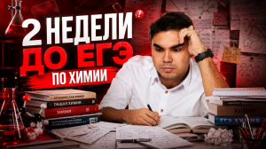 2 НЕДЕЛИ ДО ЕГЭ по химии | Что делать? | Богдан Чагин | Умскул