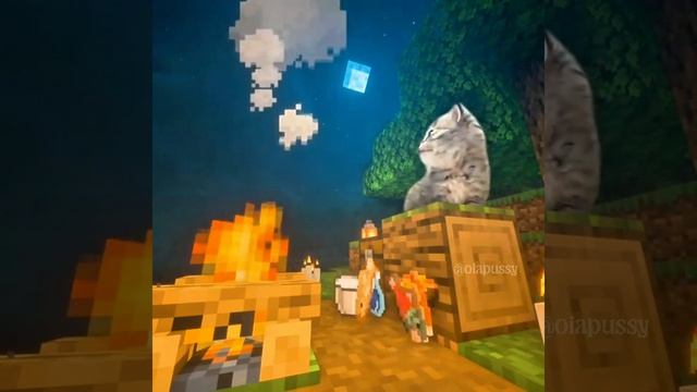 Котенок в Походе в Майнкрафте 🏕️