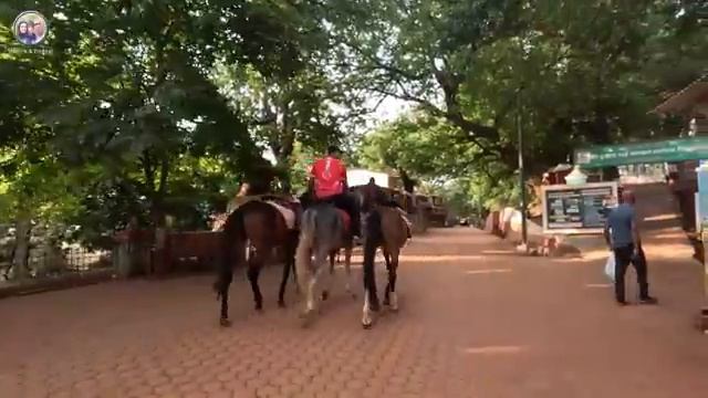 Замуж в Индию ВЫЗВАЛИ НА КВАРТИРУ В ГОА Уезжаем завтра Застройщик что то темнит