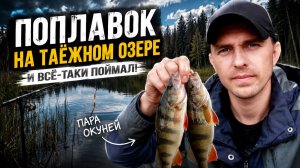 Поплавочная рыбалка на лесном озере. Окунь всё-таки клюнул.
