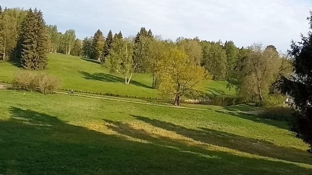 8. Павловский парк. 2026-05-17 начало дороги к Храму