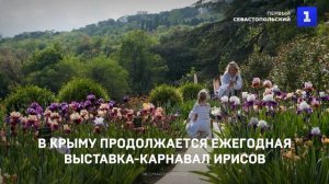 В Крыму продолжается ежегодная выставка-карнавал ирисов