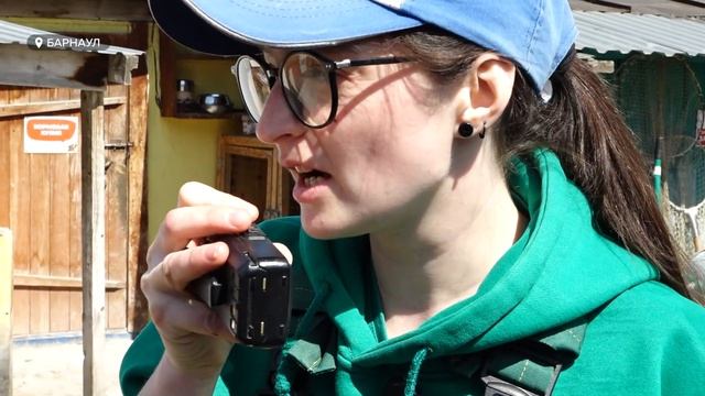 В поисках спокойствия: как животные помогают справиться с выгоранием смотреть онлайн