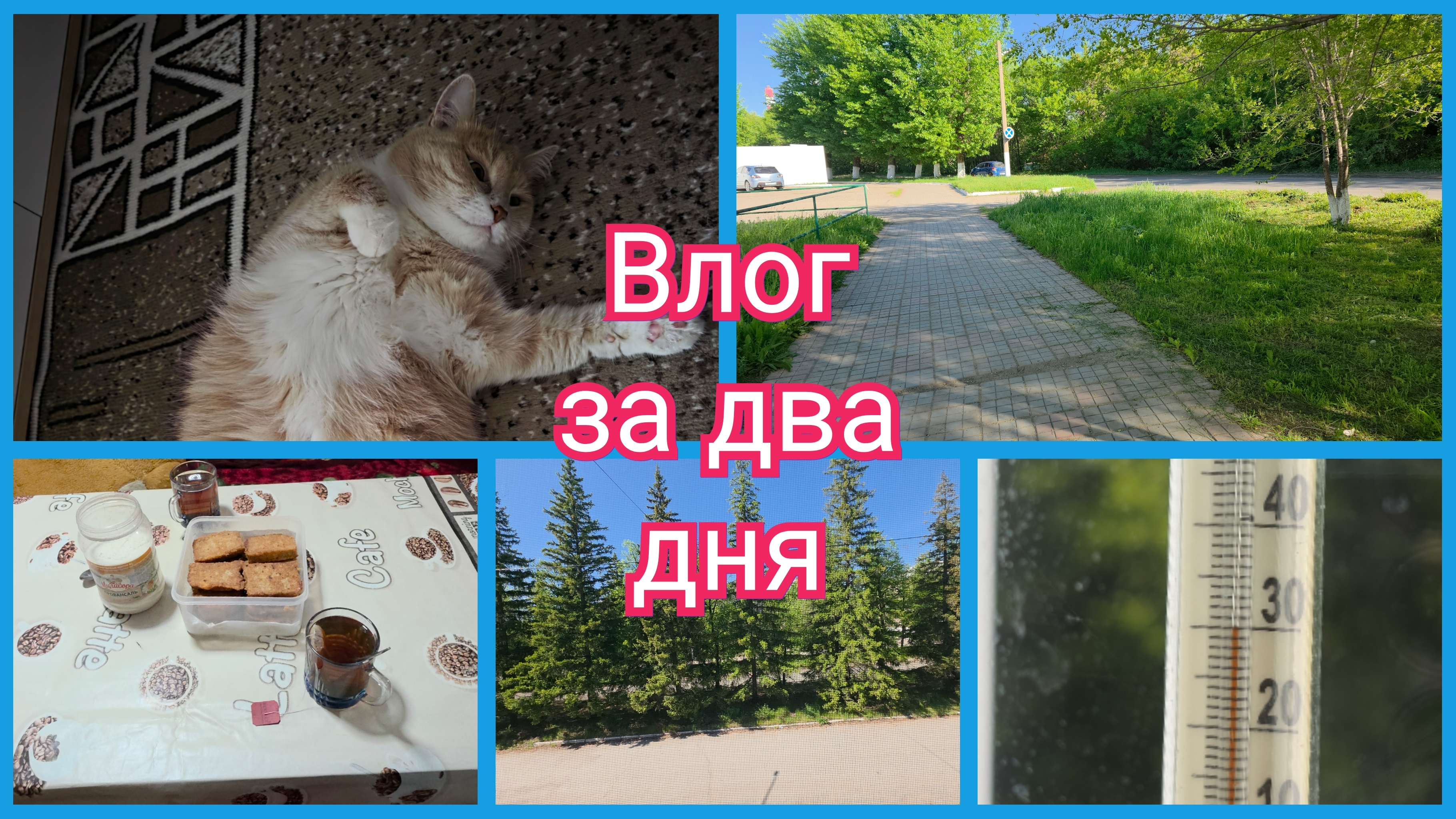 Забочусь о МУЖЕ. Сейчас это УЖЕ и не расстояние. Влог за ДВА  дня