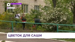 Во Владивостоке в отделении паллиативной помощи в память об ушедших детях высадили цветы