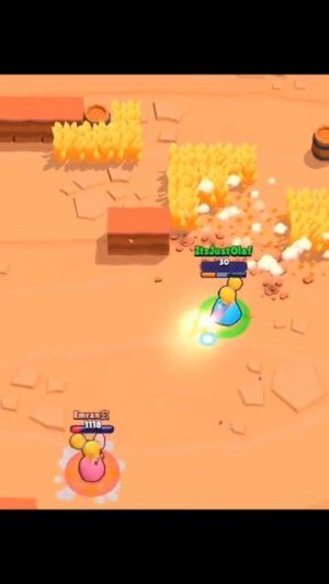 pip