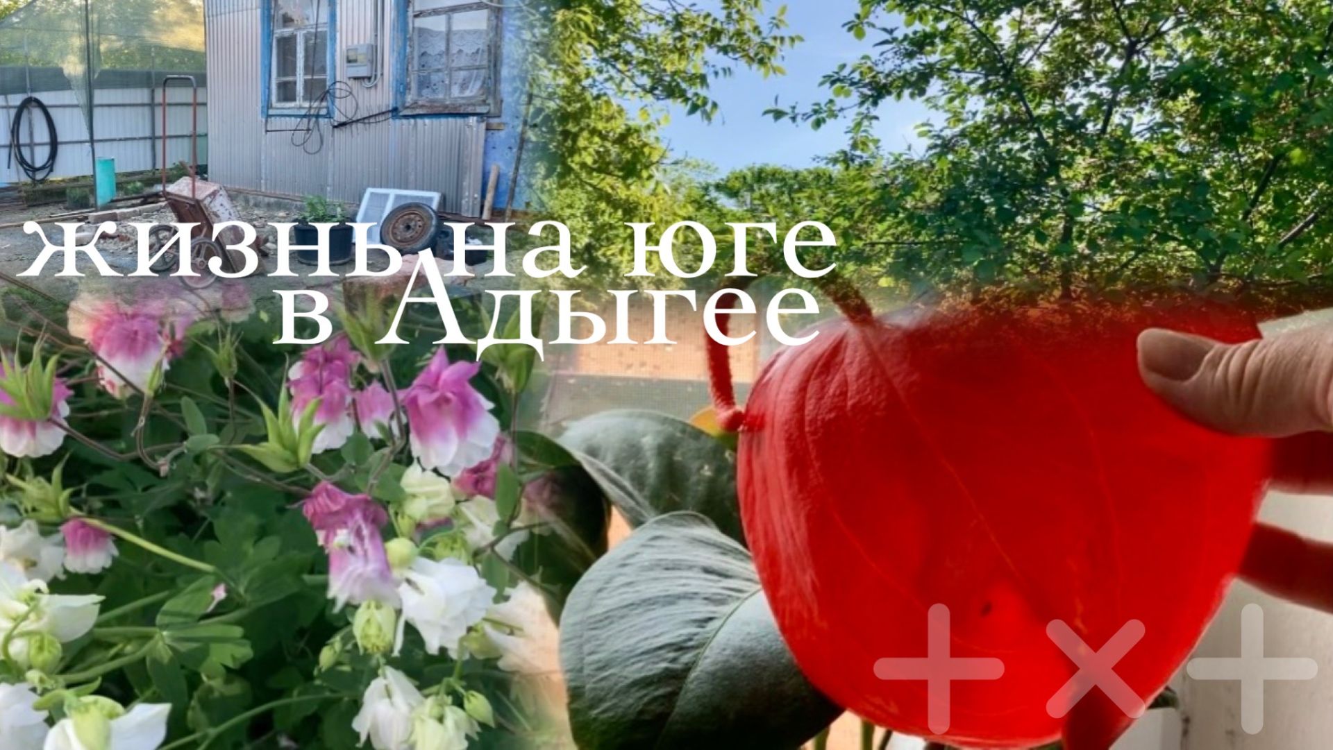 Адыгея/ Деревенские будни/ Погода на юге/ Весенний сад/