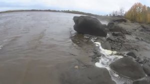 ИДУЩИЙ ПО ВОДЕ! ВСЯ РЫБА ТУТ У ЗАЛИВНОЙ ЛУДЫ! НАСНИМАЛ СКОЛЬКО МНОГО!