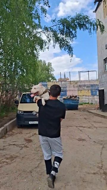 rutube.ru