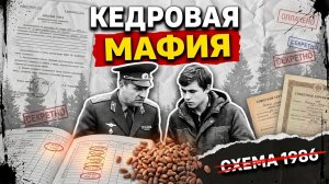 Молодая ревизор приехала в таёжный посёлок — и в первый же вечер ей посоветовали уезжать