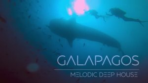 Galapagos Islands Ocean Therapy ｜ Lost Darwin Arch  + Underwater Wildlife ｜ Melodic Deep House