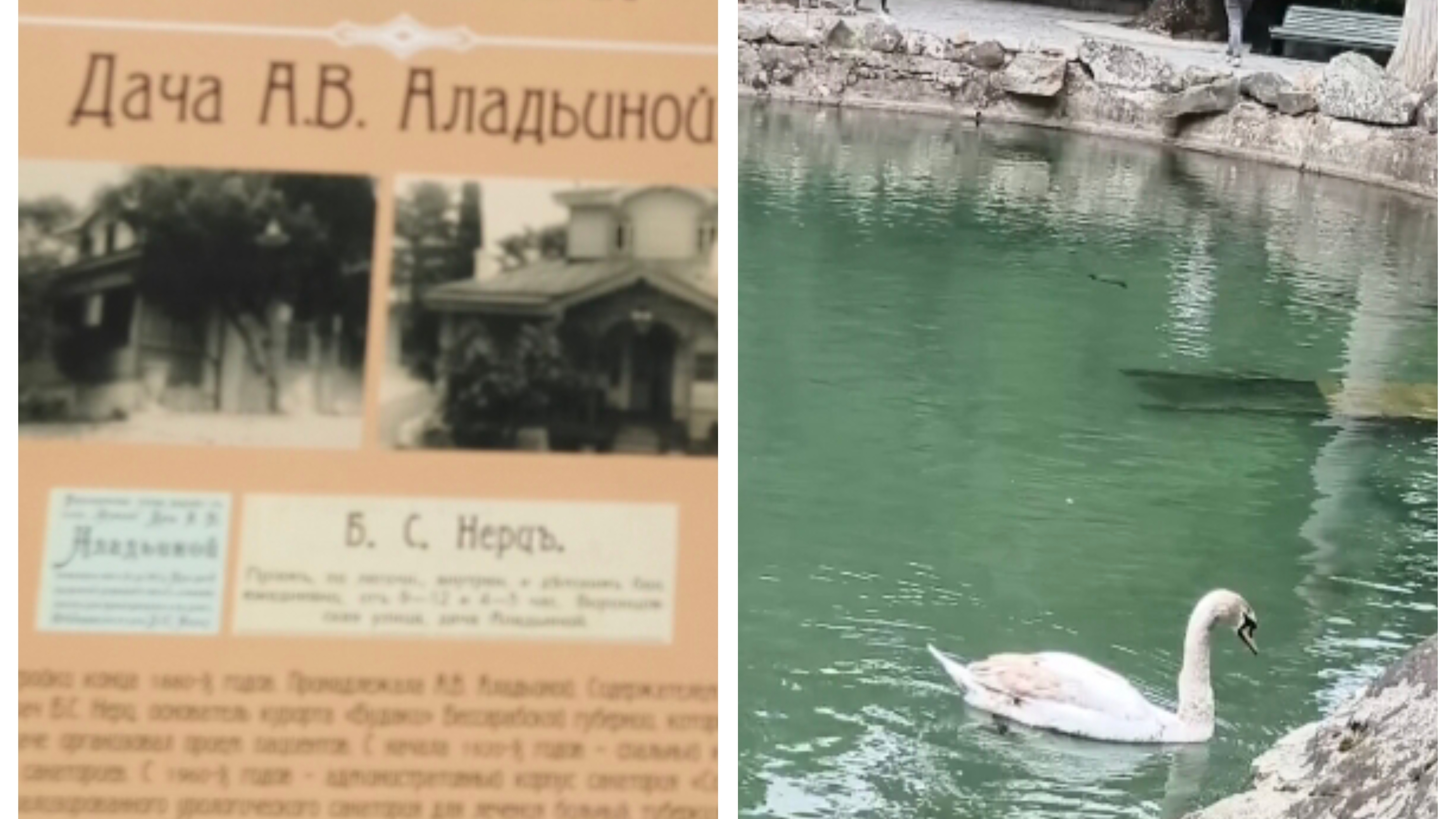 Что случилось на озёрах в Воронцовском парке 🤔. Дача Аладьиной.