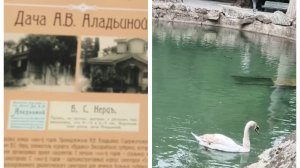 Что случилось на озёрах в Воронцовском парке 🤔. Дача Аладьиной.