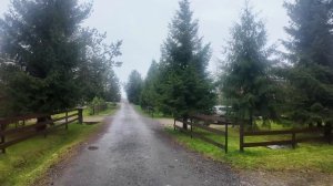 ЩУКИ и СУДАКИ по ХОЛОДНОЙ воде! РЫБОЛОВНЫЕ Базы - СИТИНКА, Рыбинское вдхр.