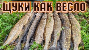 Щука с лодки