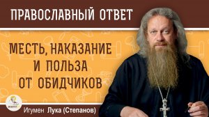 Месть, наказание и польза от обидчиков. Игумен Лука (Степанов)