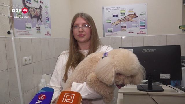 Скрытный враг питомцев