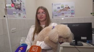 Скрытный враг питомцев