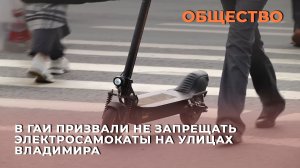 В ГАИ призвали не запрещать электросамокаты на улицах Владимира