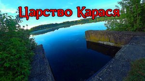 Майский нерест карася,выбрались на поплавочку.