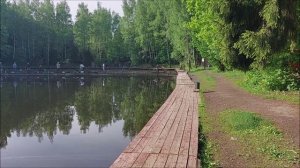 Утренний обзор с нижнего водоёма. Клёвое место, Лосиный остров.