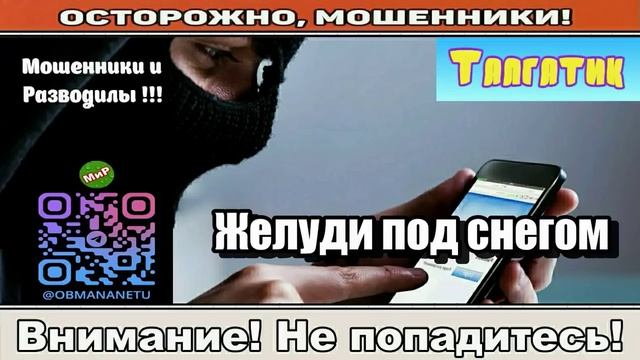 Мошенники звонят по телефону _ Желуди под снегом ( сборник ). смотреть онлайн