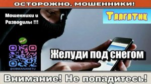 Мошенники звонят по телефону _ Желуди под снегом ( сборник ).