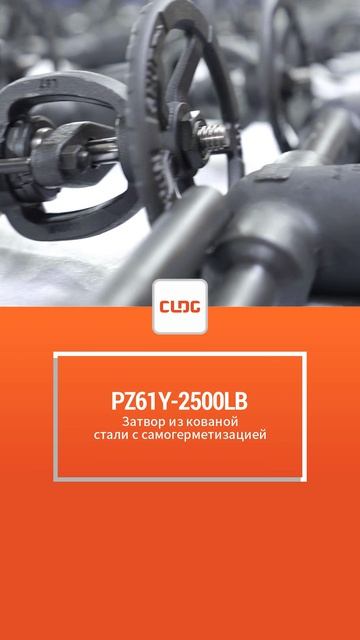 PZ61Y-2500LB Стальной задвижковый клапан с ковкой и самоуплотнением-CLDG