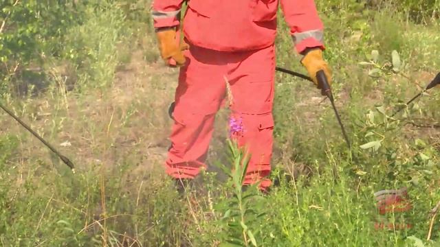 За выходные в лесном фонде Иркутской области ликвидировали 10 возгораний. Два - в Братском районе