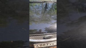 91634.mp4