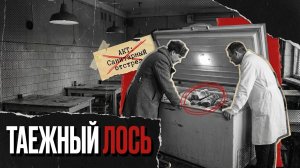 «А куда у вас в столовой по тонне мяса в месяц уходит?» — спросил следователь, и повариха побледнела