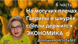 6 часть. На могучих плечах Гаврилы и шнурке с@пли  держится ЭКОНОМИКА СТРАНЫ☝️❗️