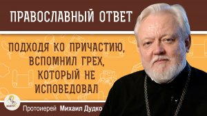 Подходя ко Причастию, вспомнил неисповеданный грех.  Протоиерей Михаил Дудко