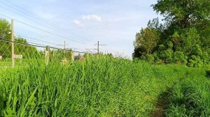 ЭС2ГП Москва Санкт Петербург