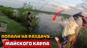 ОН ЛОМАЕТ КАТУШКИ и РАЗГИБАЕТ КРЮЧКИ..ПОПАЛИ на РАЗДАЧУ МАЙСКОГО КАРПА!!#рыбалка #карп #май #улов
