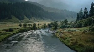 КРАСОТА 🏞️ природы с высоты птичьего полета 🌳🌲🌿🕊️🕊️🕊️