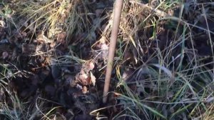 павшие герои.бой за высоту все под ногами