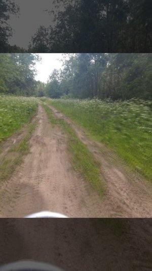 Yamaha TTR250 лесные дороги №296в