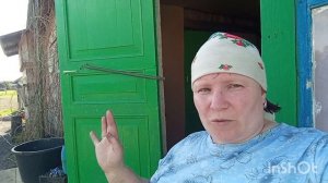 //226/ Вычистила клубнику.Пересадила клематисы.Высадила розы